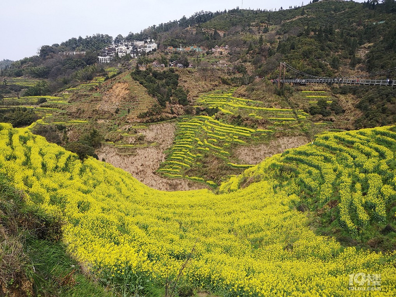 今年婺源篁岭人有点多