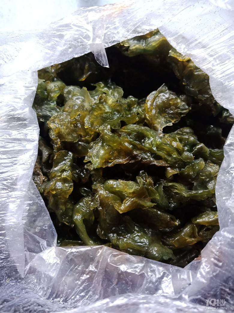 随手拍纯野菜地耳