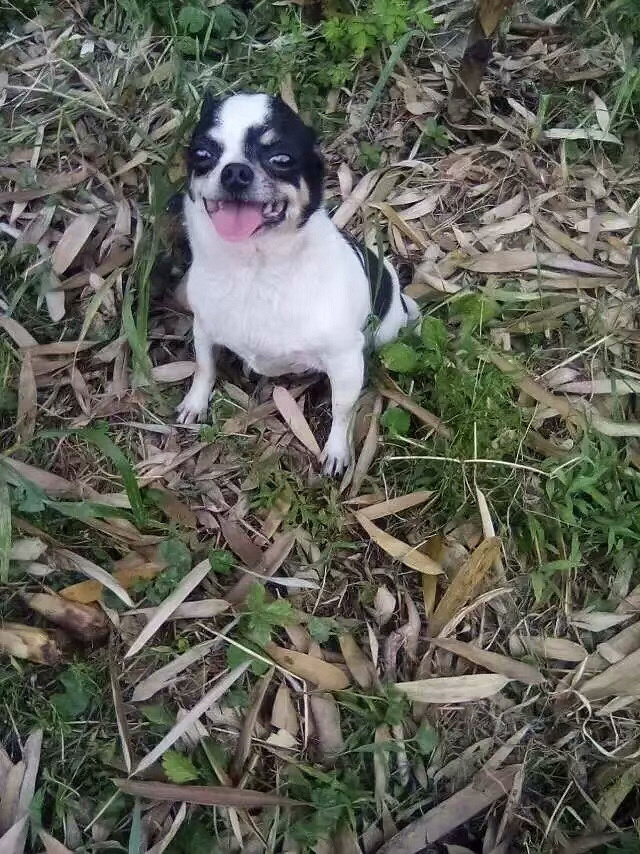 �ռ�����