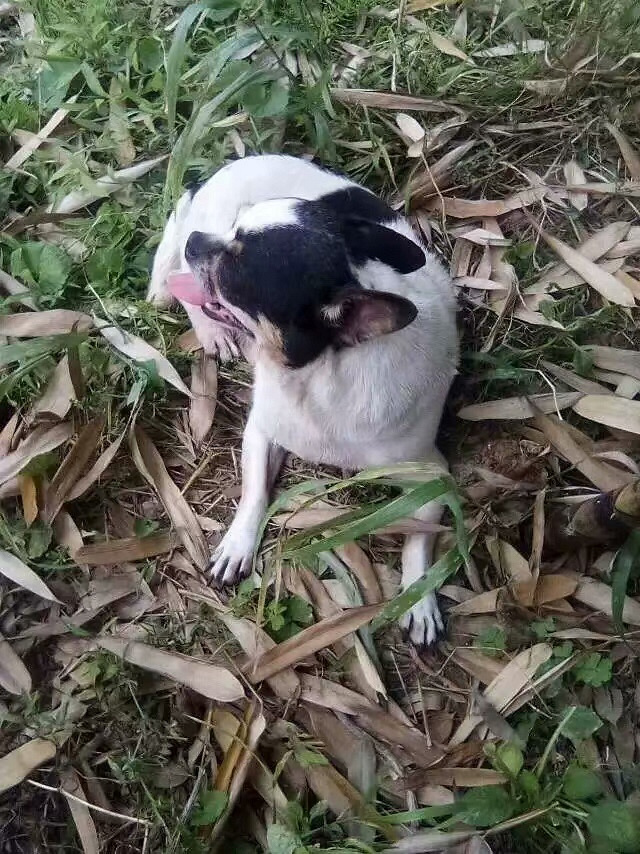 �ռ�����