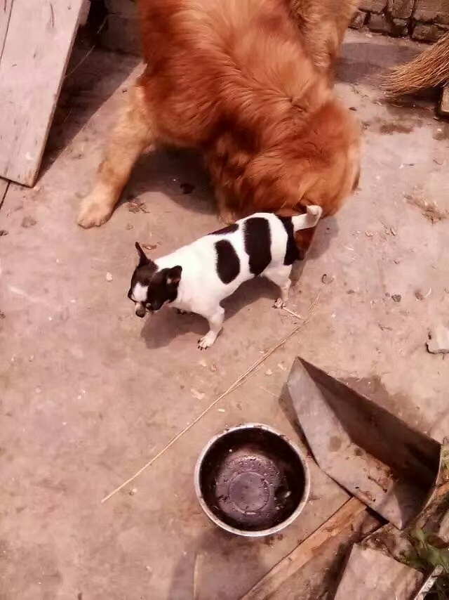 �ռ�����