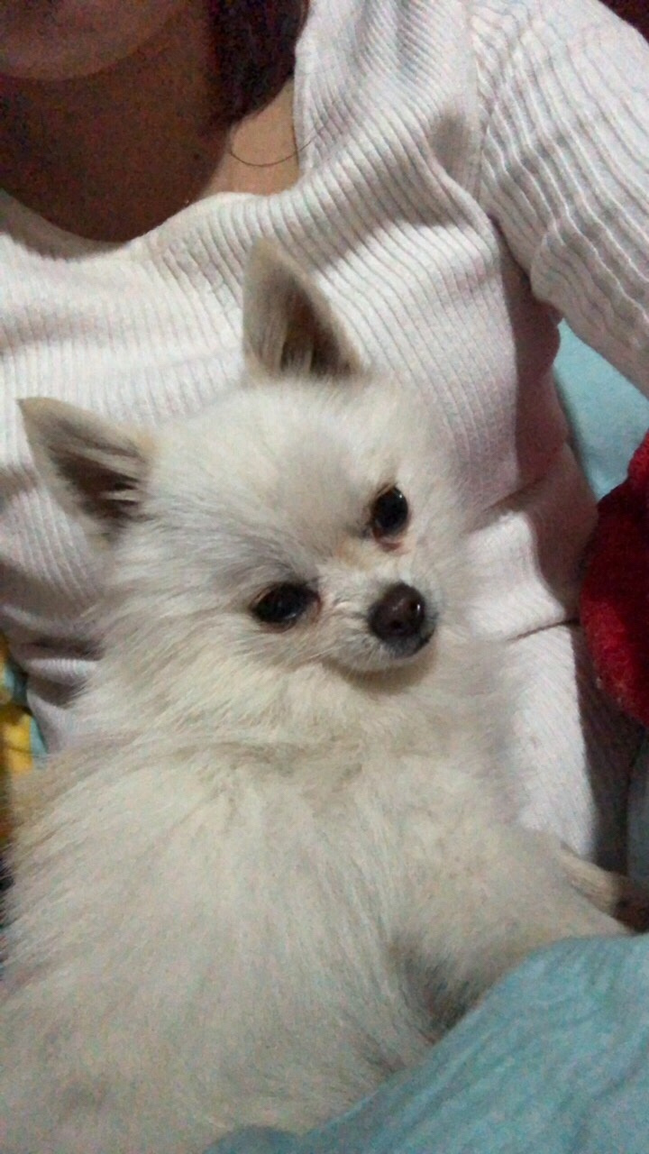 ����֮�����治��