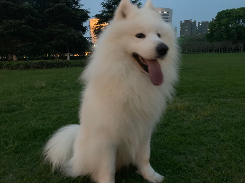 2�����Ħ��Ů����