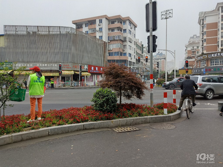 【港港厢】有红绿灯路口设置志愿者有没有必要