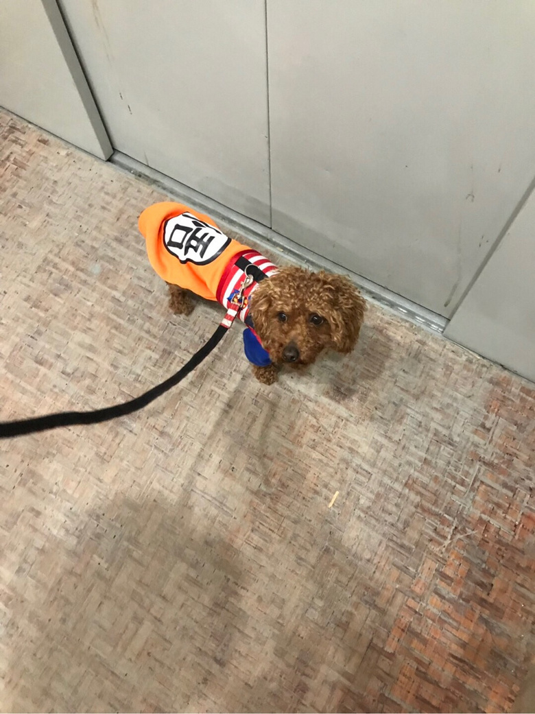 �ټ�����