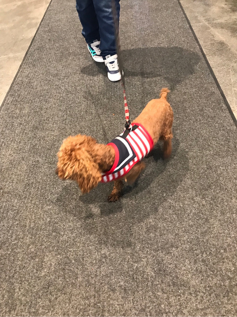 �ټ�����