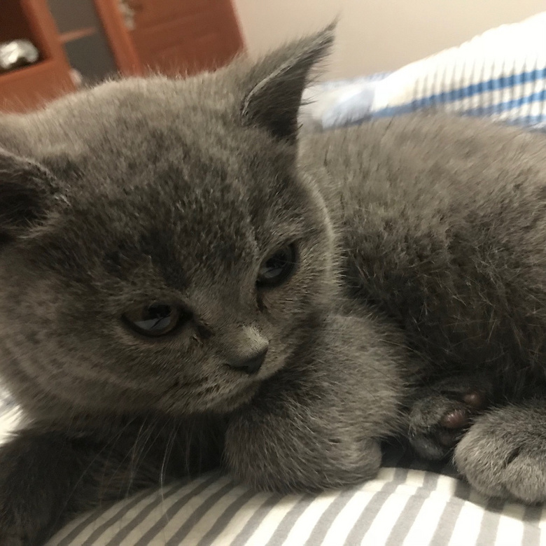 ��˵è����ˣ����ҵĹԹ�