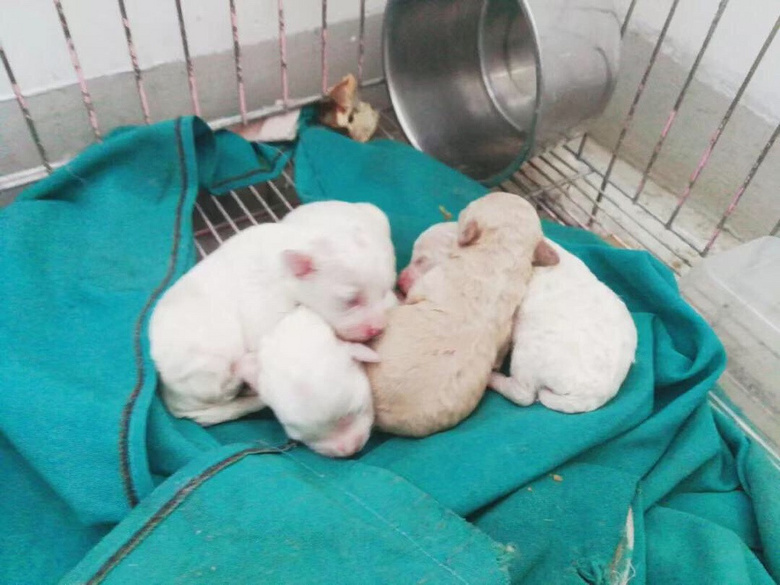 ���׾���վ���ָ�����С������������������