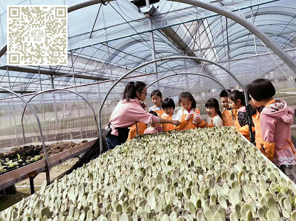 ̨�������ڵĶ�����������