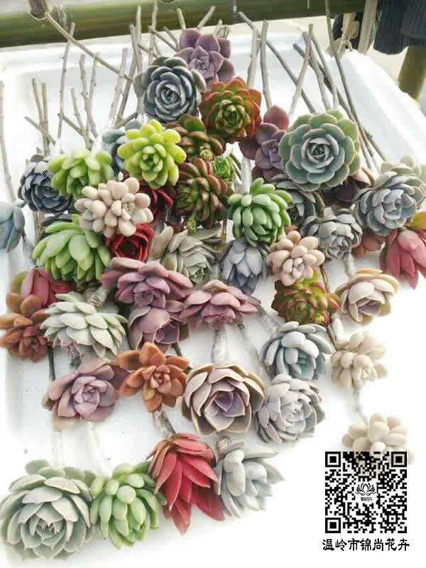 ̨�������ڵĶ�����������