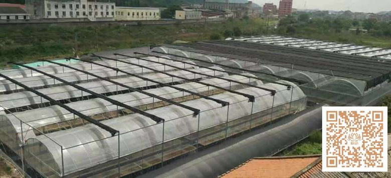 ̨�������ڵĶ�����������