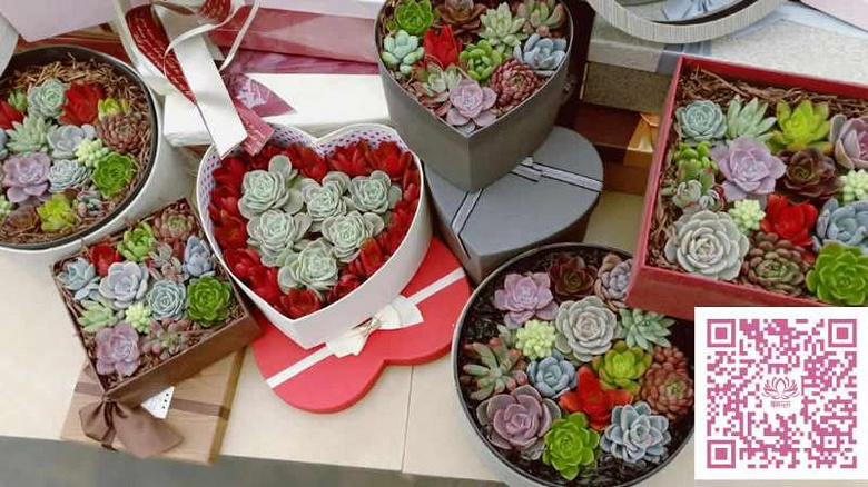 ̨�������ڵĶ�����������