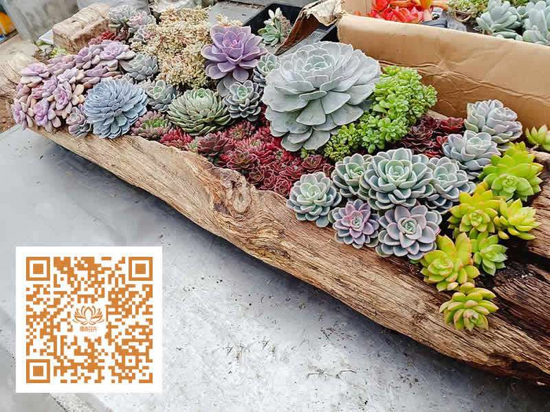 ̨�������ڵĶ�����������