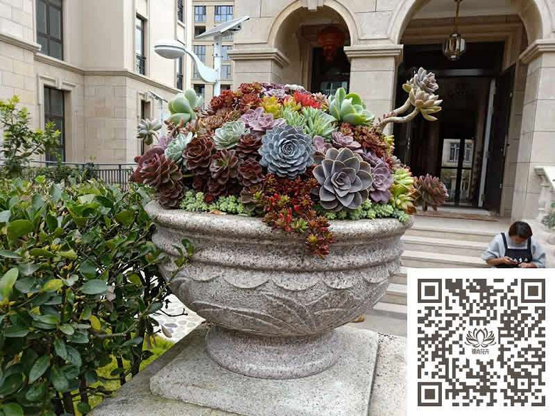 ̨�������ڵĶ�����������