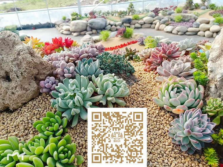 ̨�������ڵĶ�����������