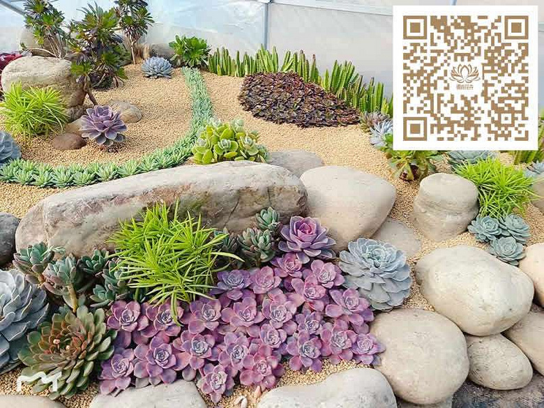 ̨�������ڵĶ�����������