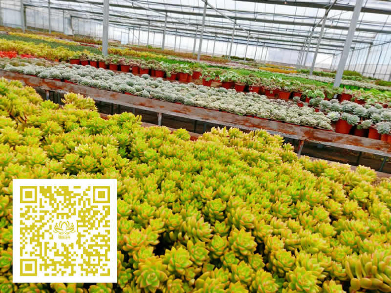 ̨�������ڵĶ�����������