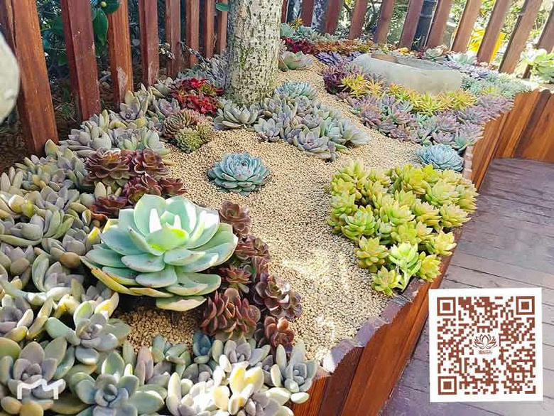 ̨�������ڵĶ�����������