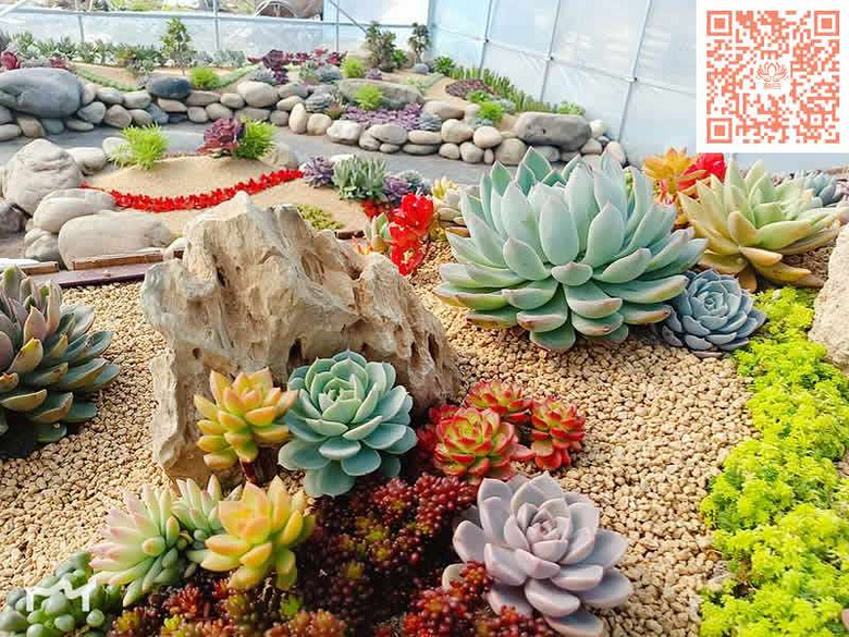 ̨�������ڵĶ�����������