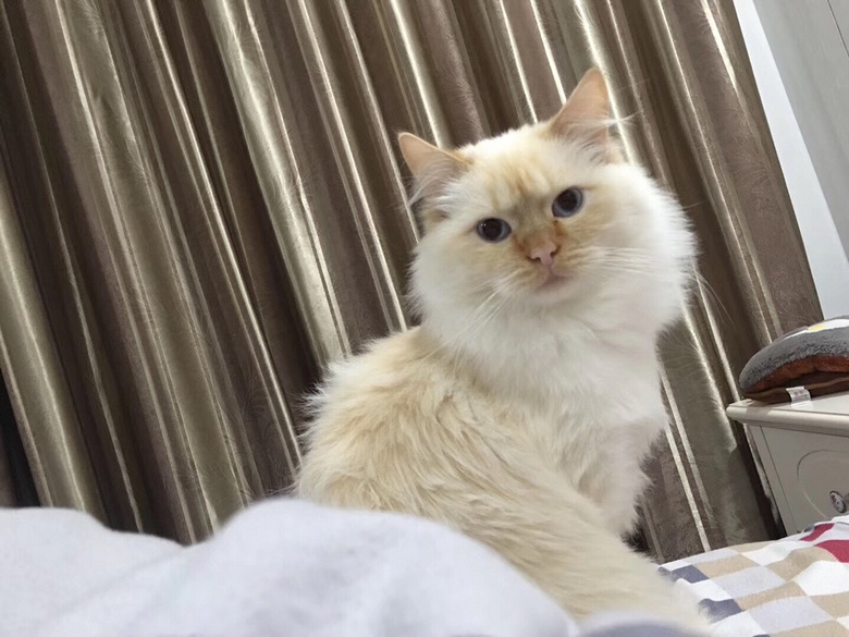 ���� ����ɫ��żת��