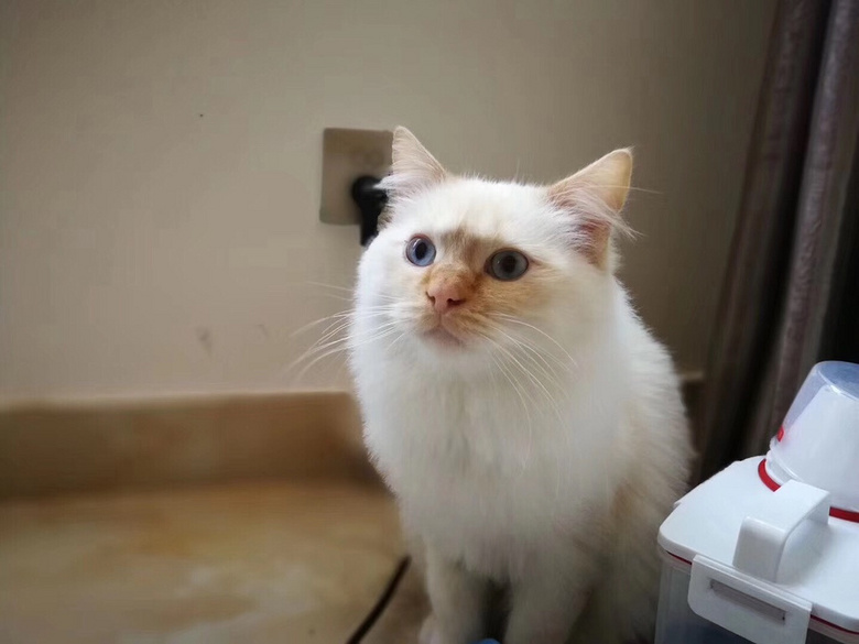 ���� ����ɫ��żת��