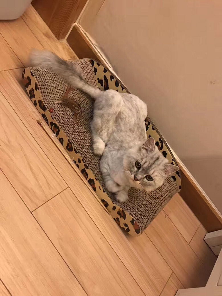 ���� ����ɫ��żת��