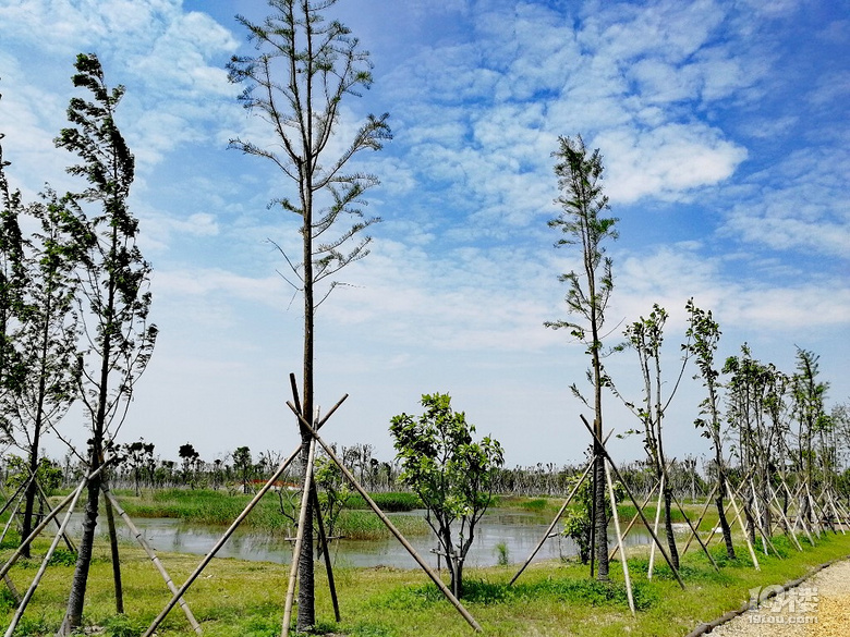 遇見台州灣溼地公園