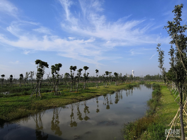 台州集聚區海洋溼地公園