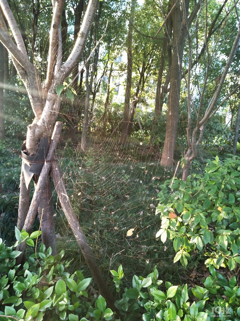 蜘蛛侠这个房子算几室几厅呢?