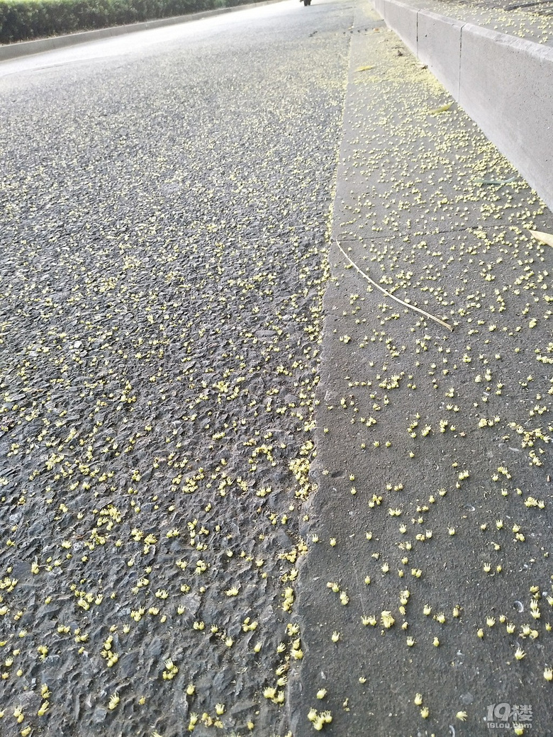 蜘蛛侠这个房子算几室几厅呢?