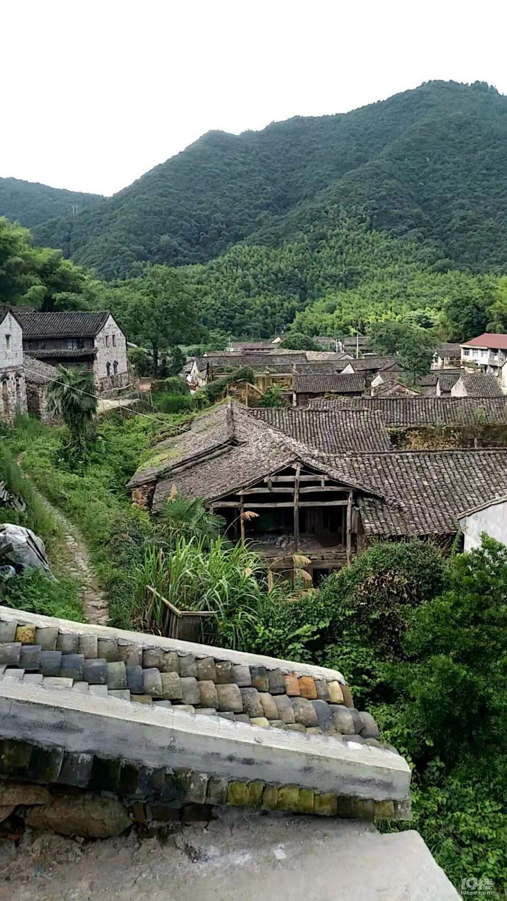 绍兴大山深处的古村落图片