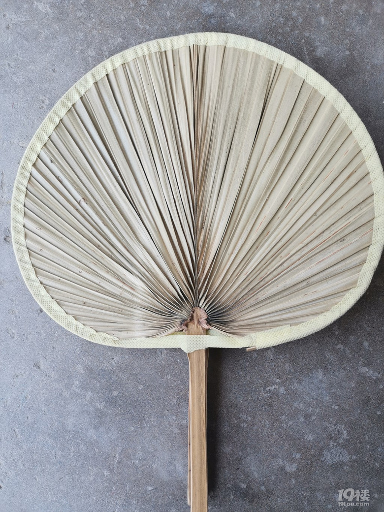 随手拍3块一把的棕榈扇