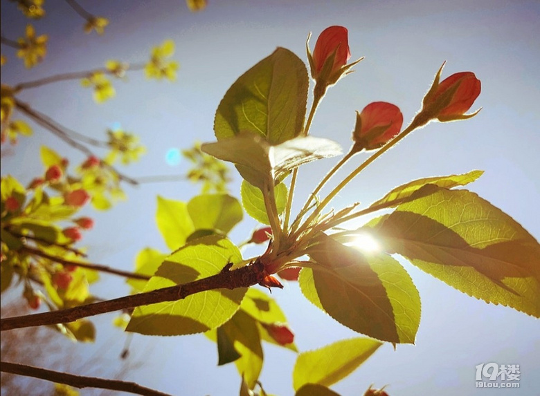 或许吧,将来不可期