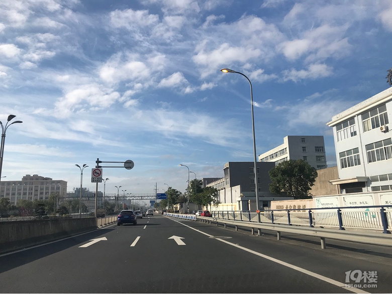 二桥这条路大白天开路灯!燃烧国民资源!