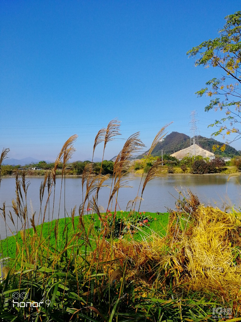 随手拍鉴洋湖秋色