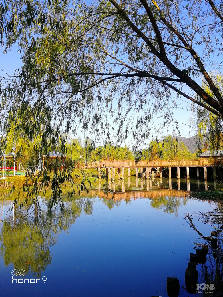 随手拍鉴洋湖秋色