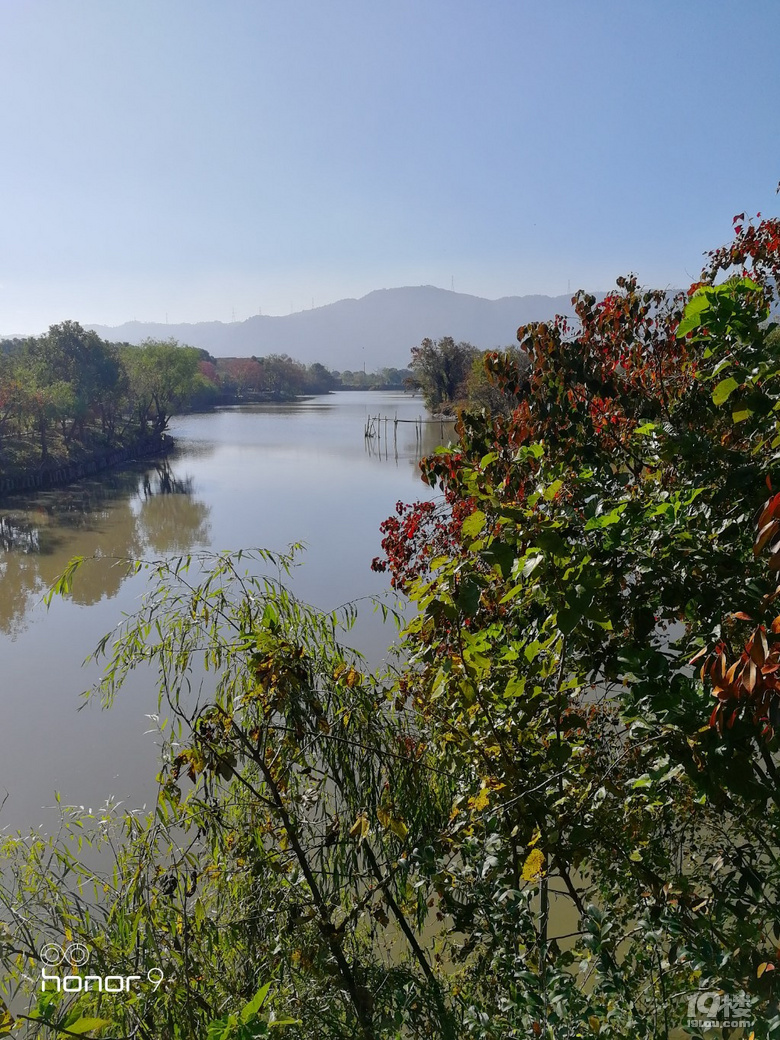 随手拍鉴洋湖秋色