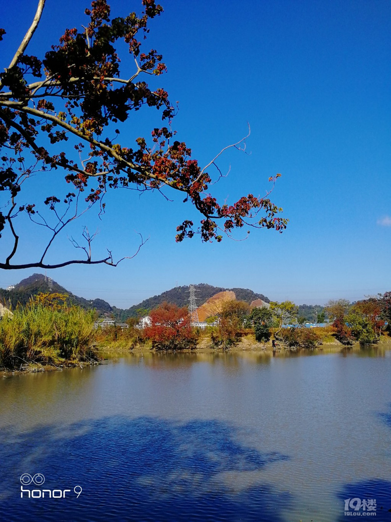 随手拍鉴洋湖秋色