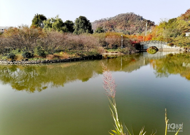 路橋中央山公園-講白搭-台州19樓