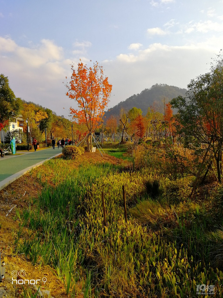 随手拍路桥体育公园