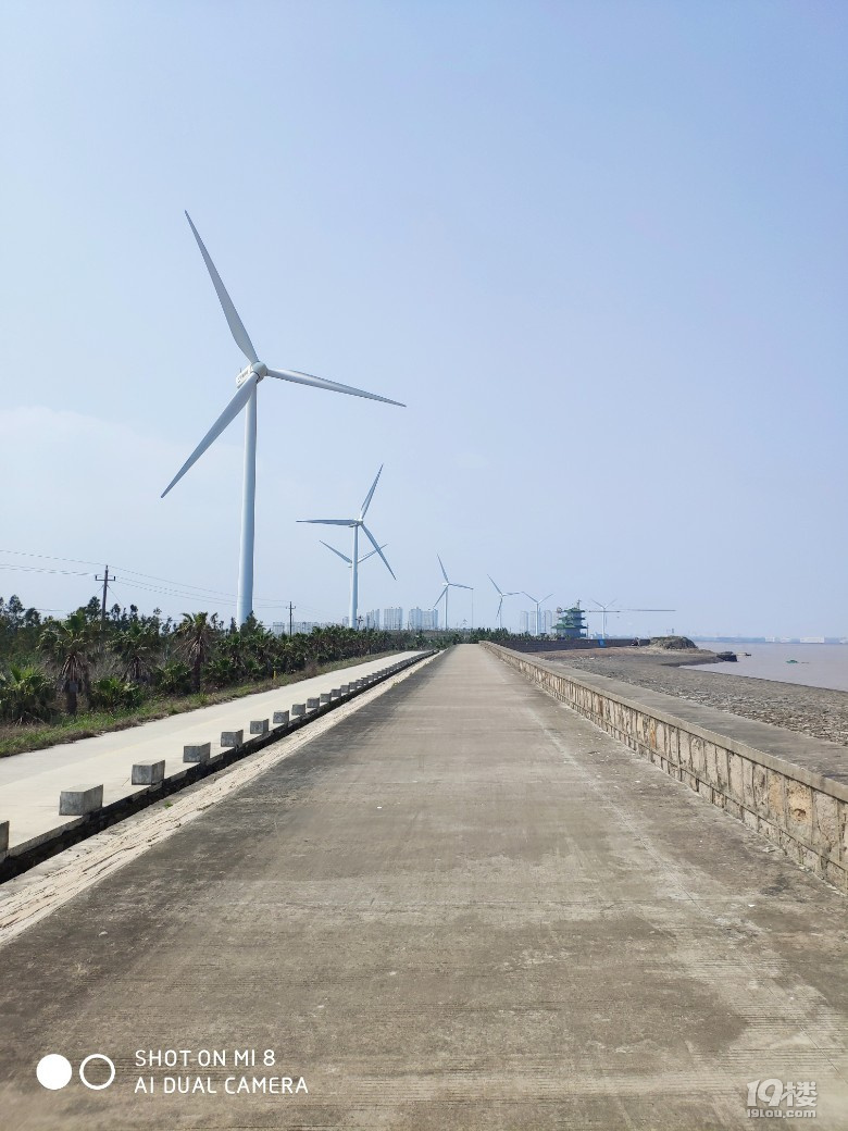 温岭东海塘的风车与潮水