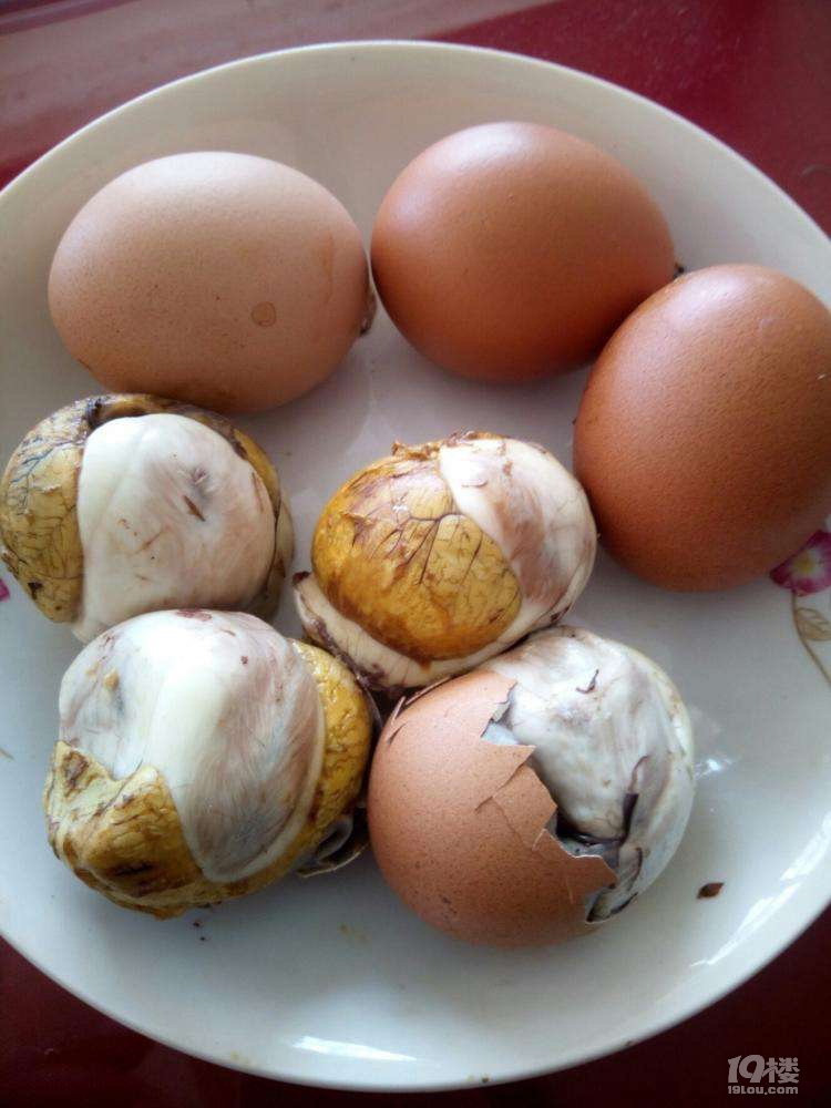 好吃的凤凰蛋-讲白搭-台州19楼