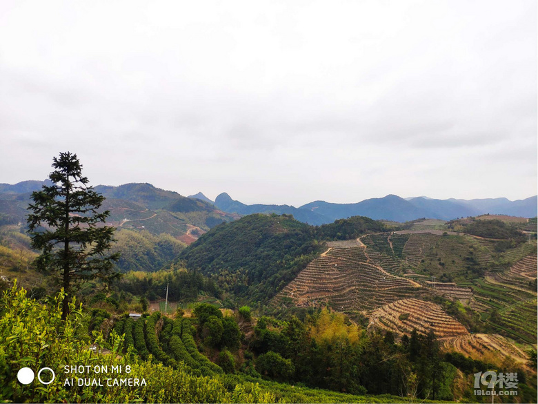 庚子春临海兰田大坪头骑行记