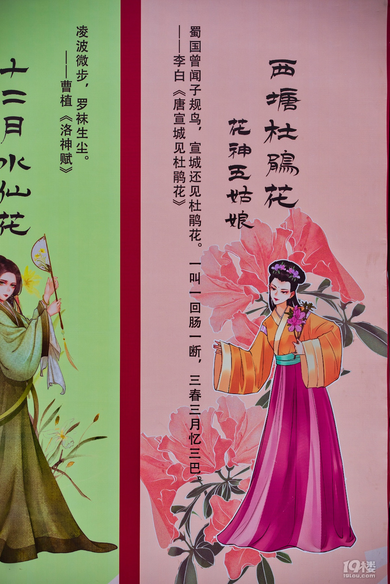 赏花季来西塘遇见最美十二花神