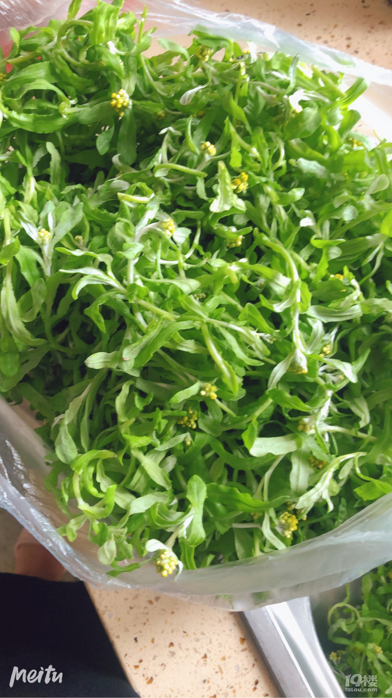 青团-台州美食-台州19楼