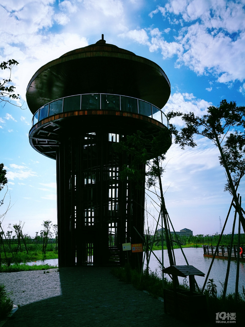 台州湾湿地公园游记图片