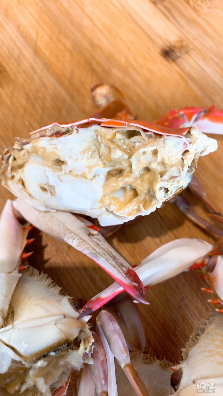 干蒸棱子蟹提前品尝鲜活梭子蟹多数地区