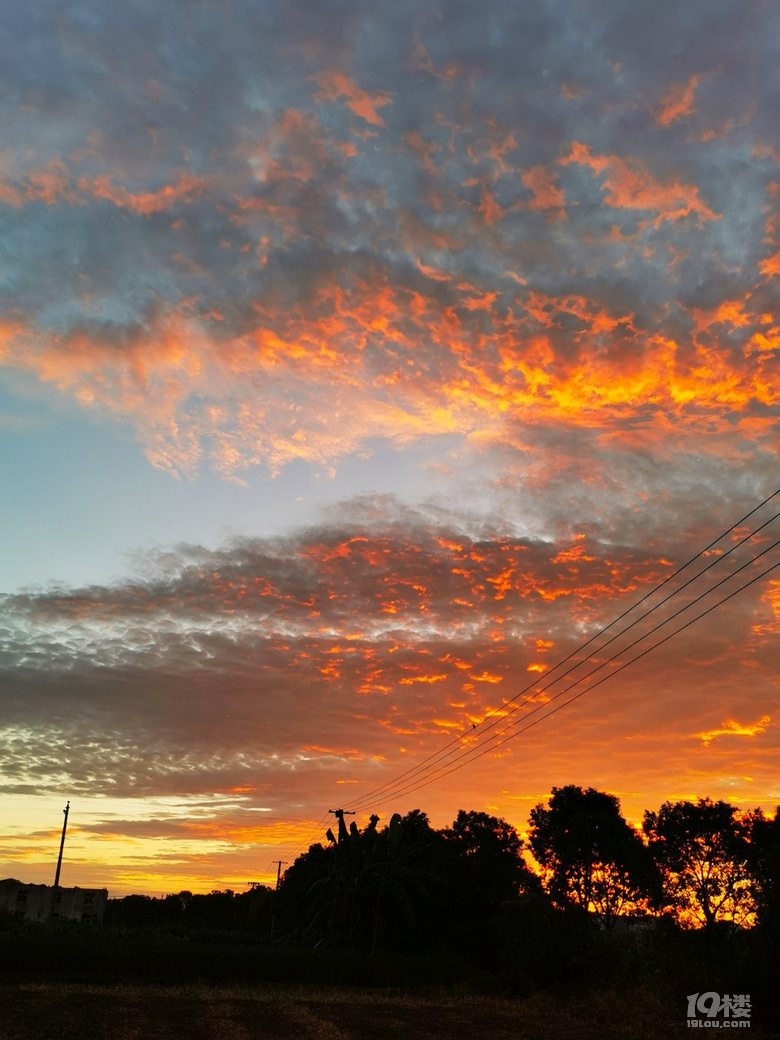 今天美麗的火燒雲