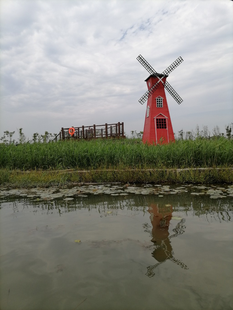 点亮台州荣光美丽的台州湾湿地公园