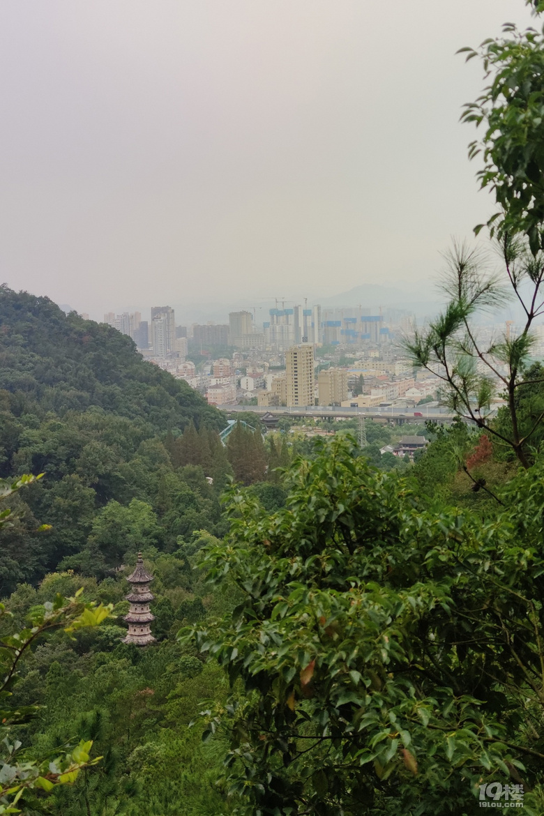 台州山路之曲20201005九峰公园